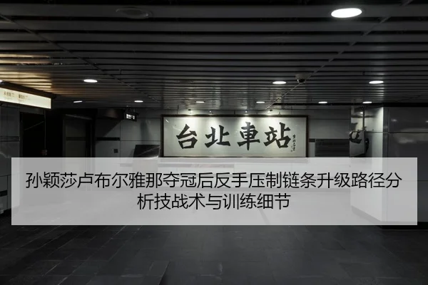 孙颖莎卢布尔雅那夺冠后反手压制链条升级路径分析技战术与训练细节